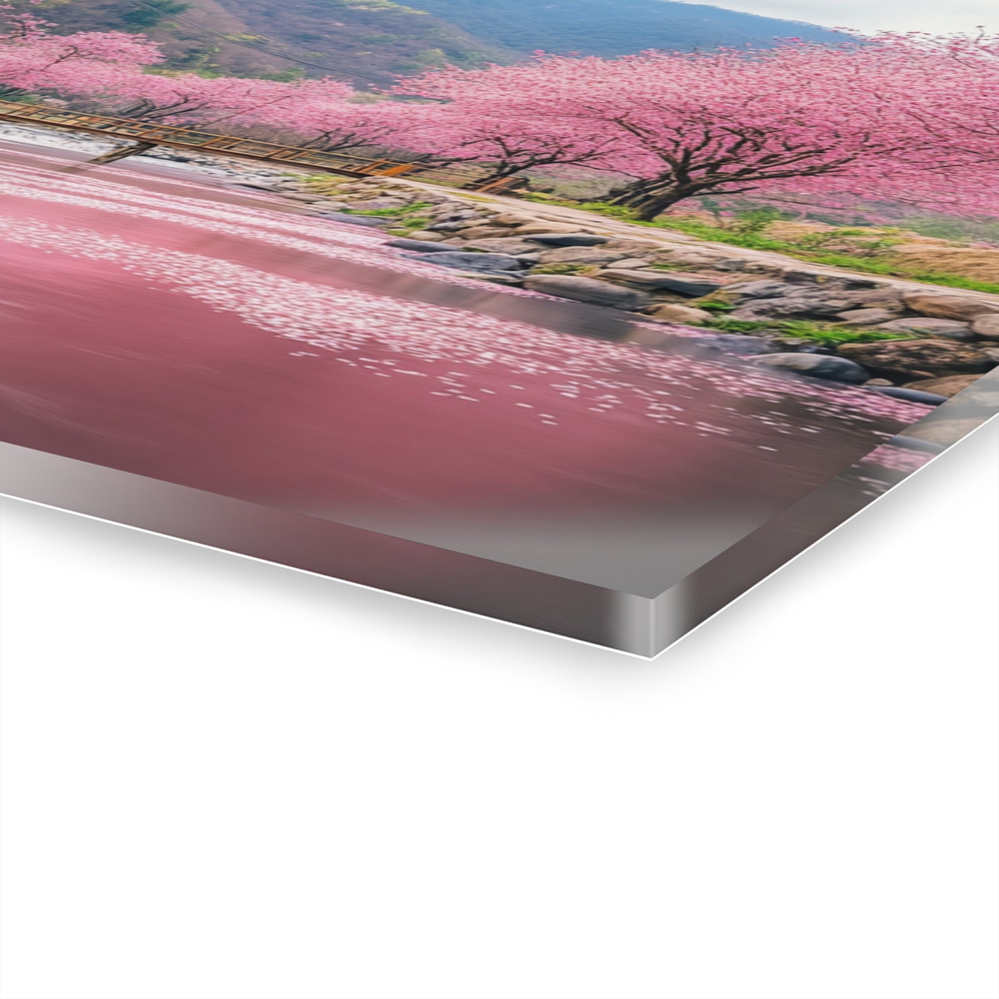 Cherry Blossom Acrylic Print - Serene Landscape Wall Art