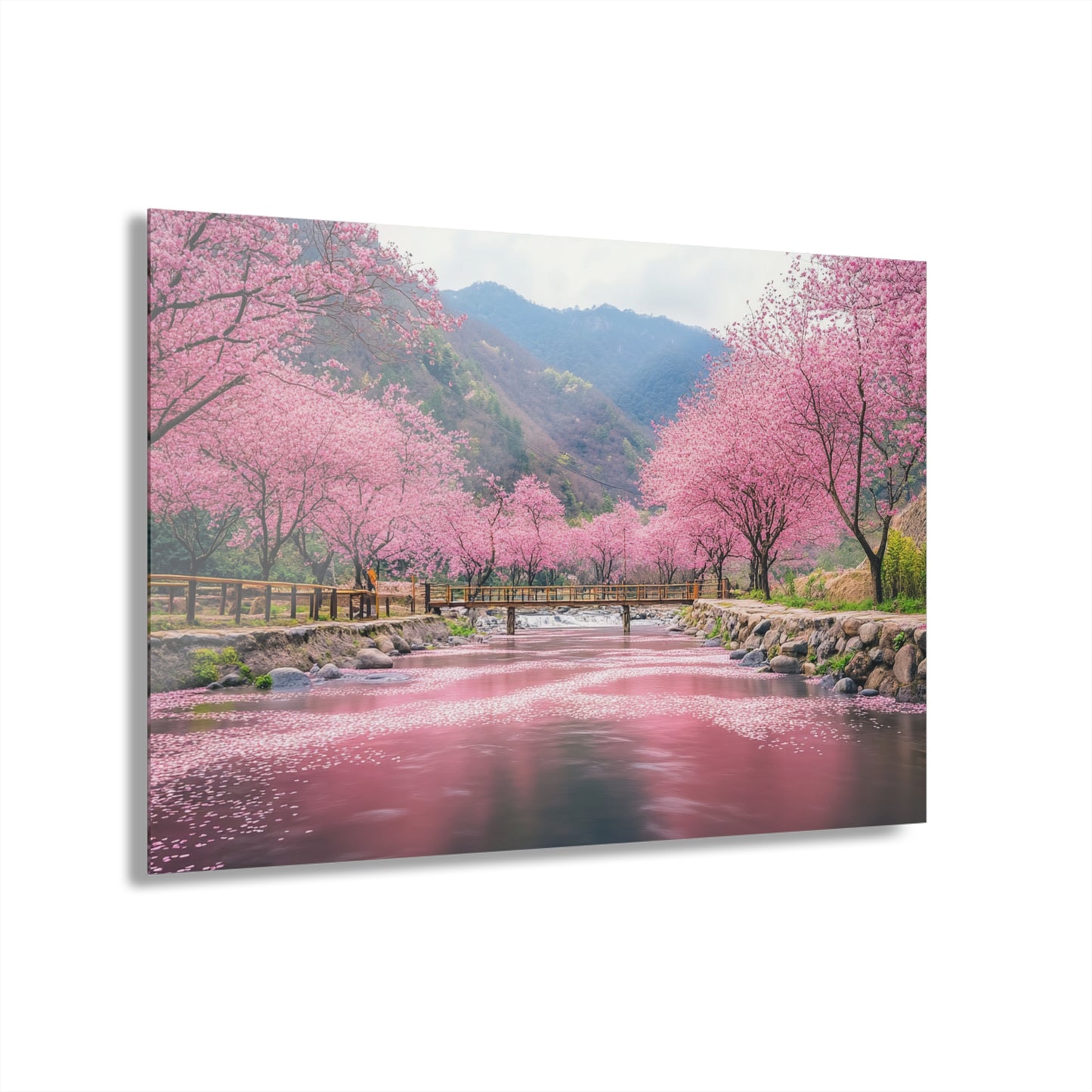 Cherry Blossom Acrylic Print - Serene Landscape Wall Art