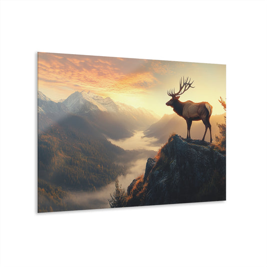 Majestic Elk Acrylic Print - Scenic Nature Wall Art with French Cleat Hanging