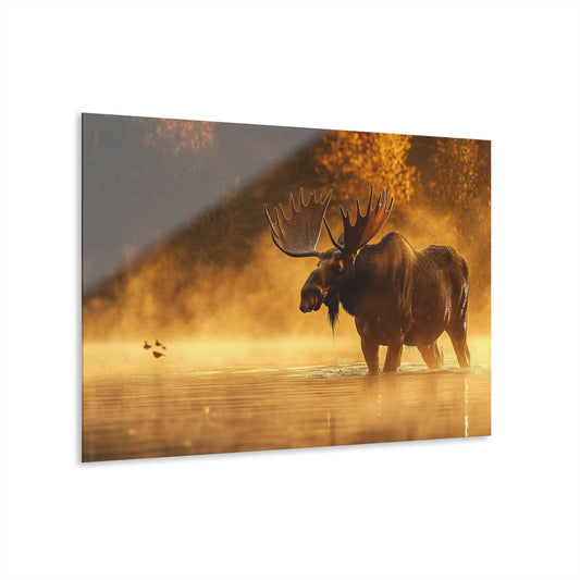 Majestic Moose Acrylic Print - Nature Wall Art for Home Decor