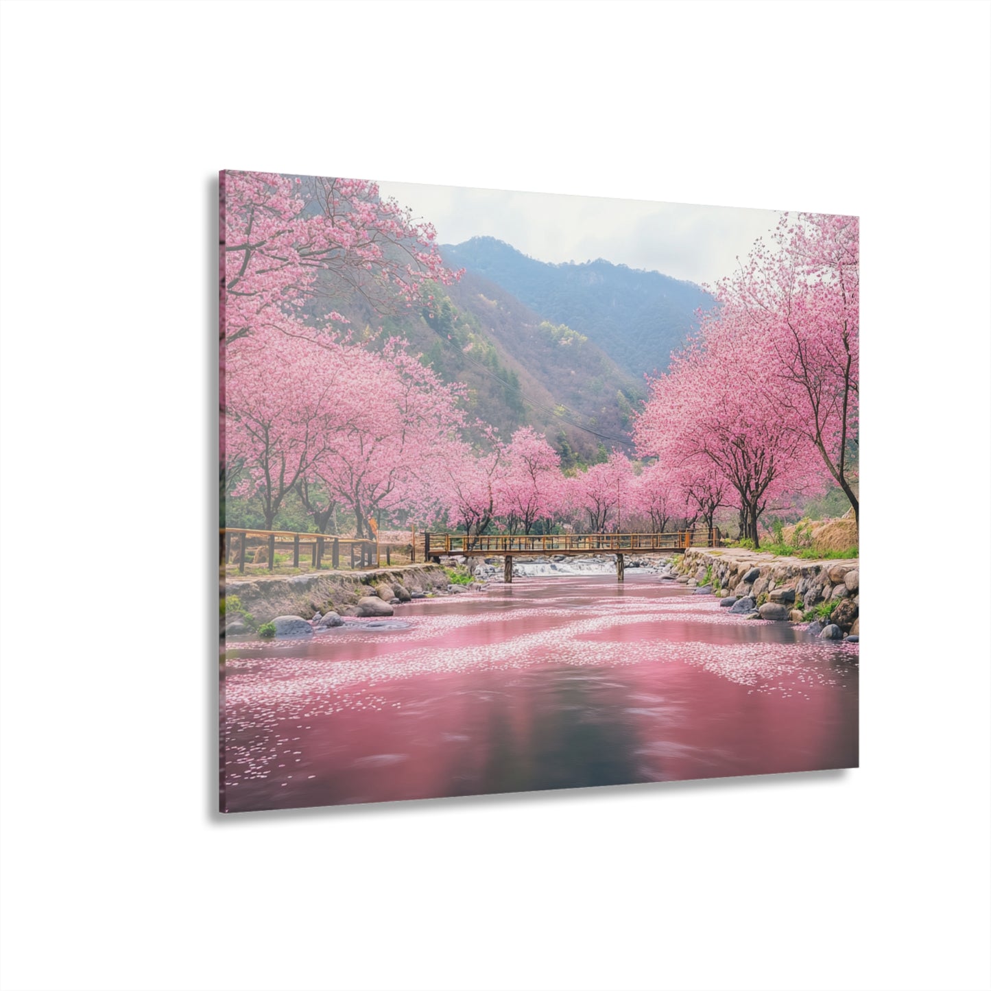 Cherry Blossom Acrylic Print - Serene Landscape Wall Art