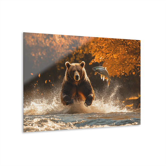 Wildlife Acrylic Print - Bear Catching Fish - Nature Wall Art