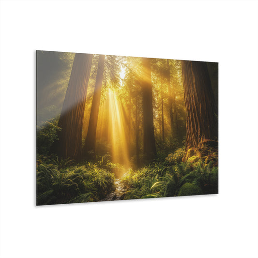 Serene Forest Acrylic Print with French Cleat Hanger - Nature Wall Art for Home Decor