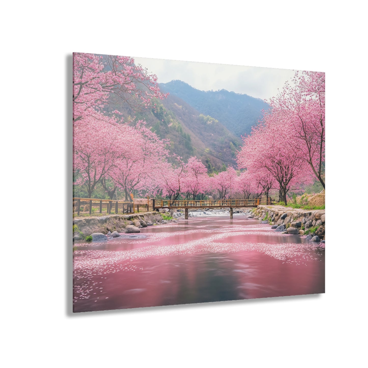 Cherry Blossom Acrylic Print - Serene Landscape Wall Art