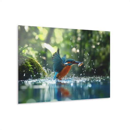 Vibrant Acrylic Print of a Kingfisher in Motion - Nature Wall Art for Home Décor